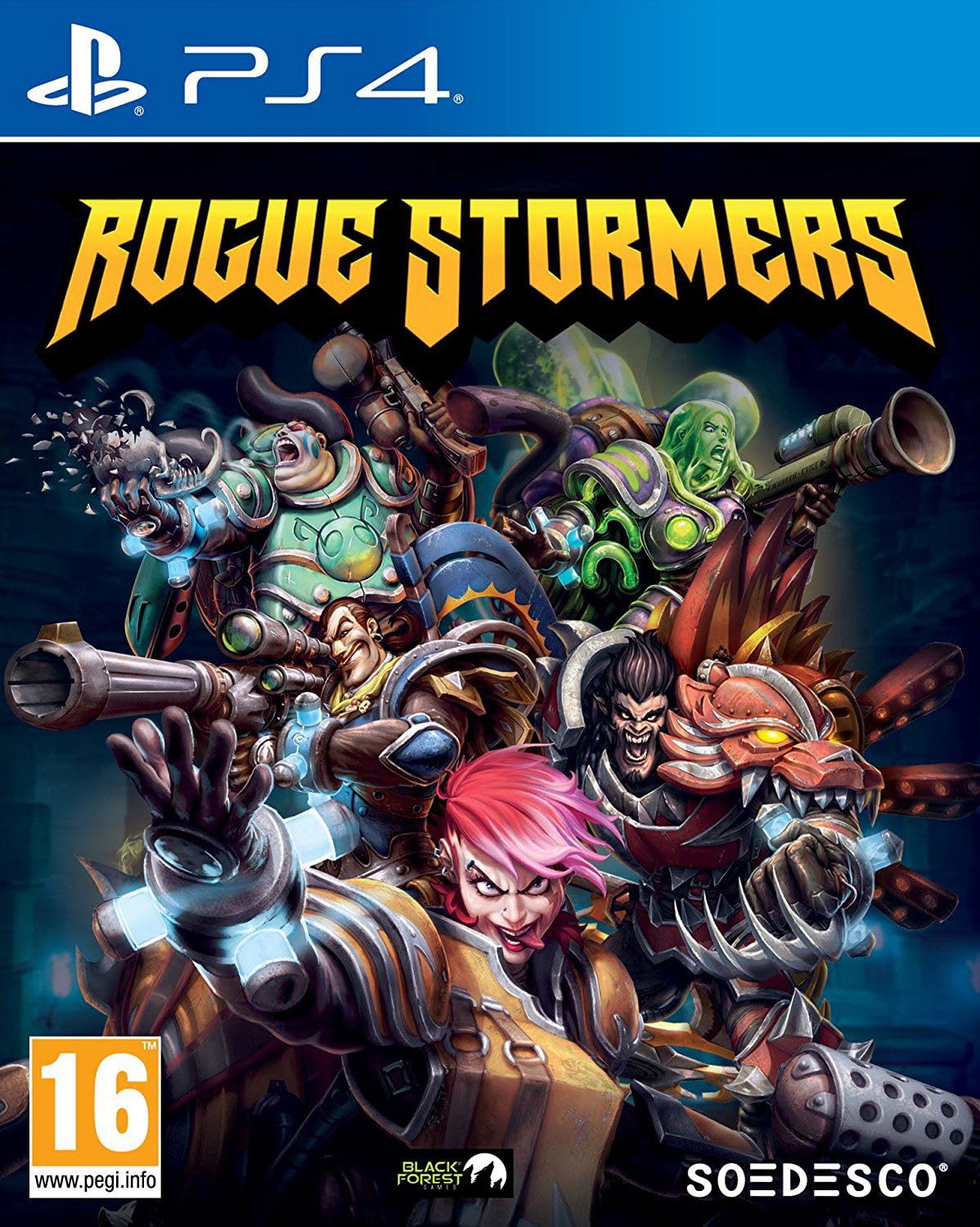 Rogue Stormers [UK Import]