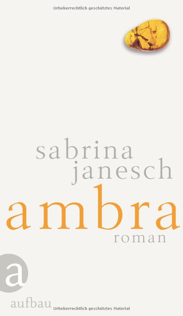 Ambra: Roman