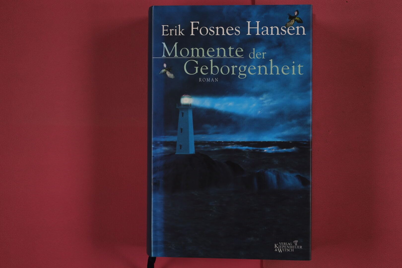 Momente der Geborgenheit: Roman