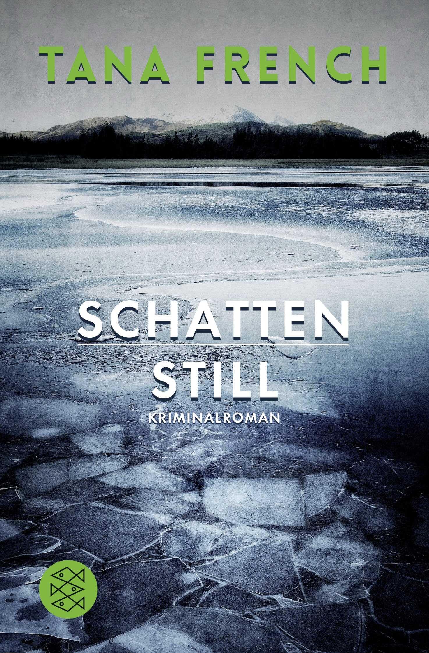 Schattenstill: Kriminalroman (Mordkommission Dublin, Band 4)