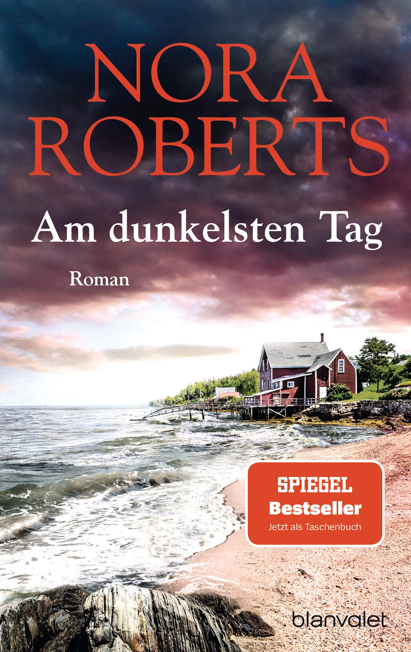 Am dunkelsten Tag: Roman