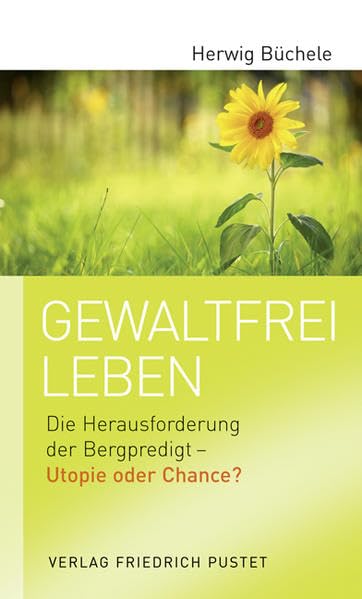 Gewaltfrei leben: Die Herausforderung der Bergpredigt – Utopie oder Chance?