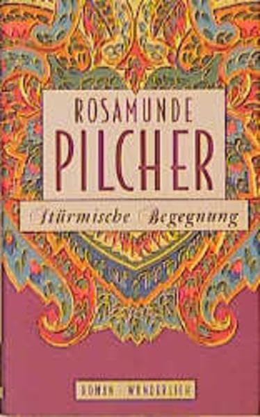 Stürmische Begegnung: Roman