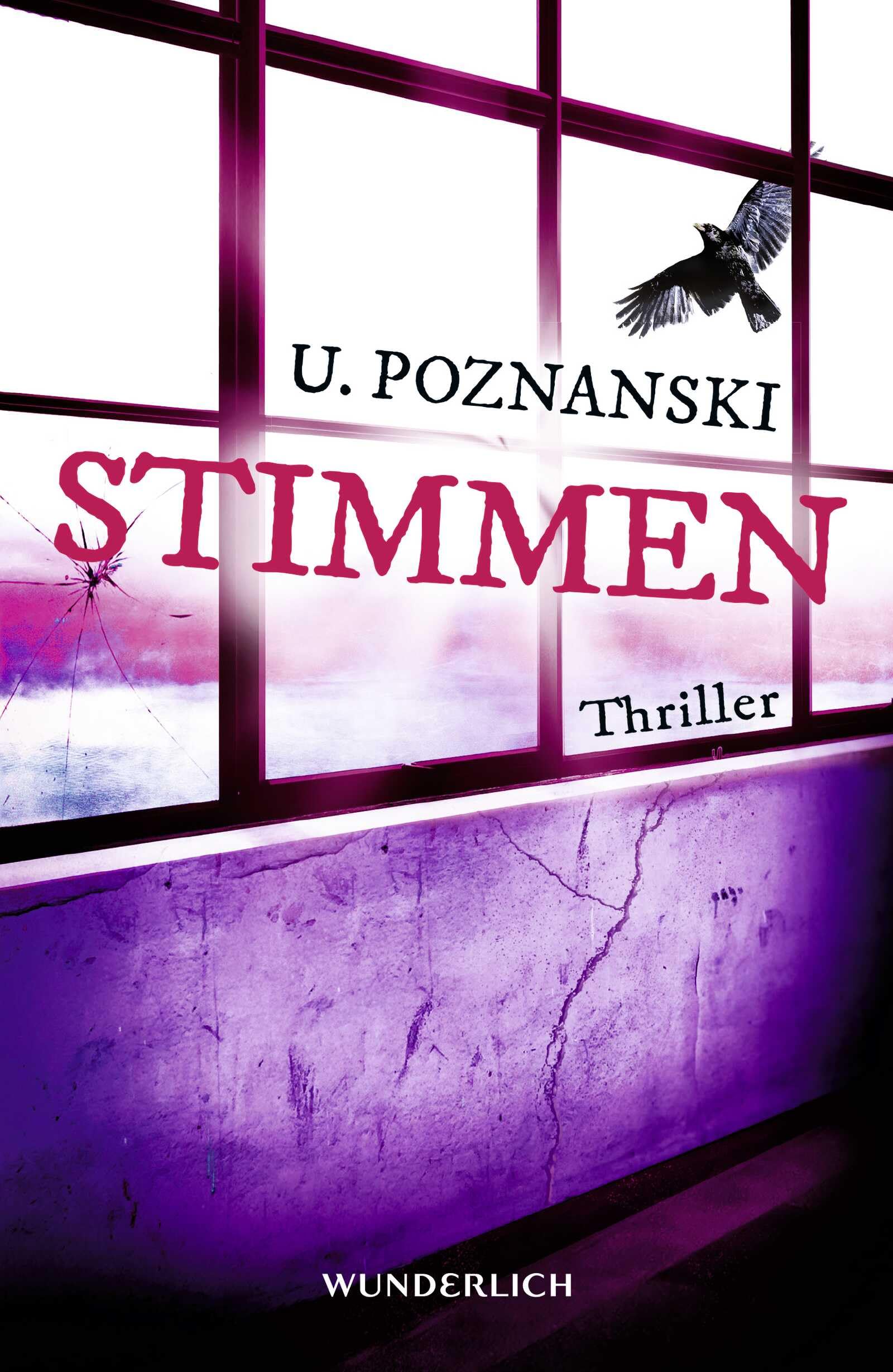 Stimmen: Salzburg-Thriller (Kaspary & Wenninger ermitteln, Band 3)