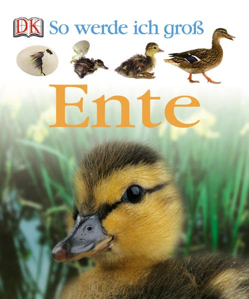 Ente