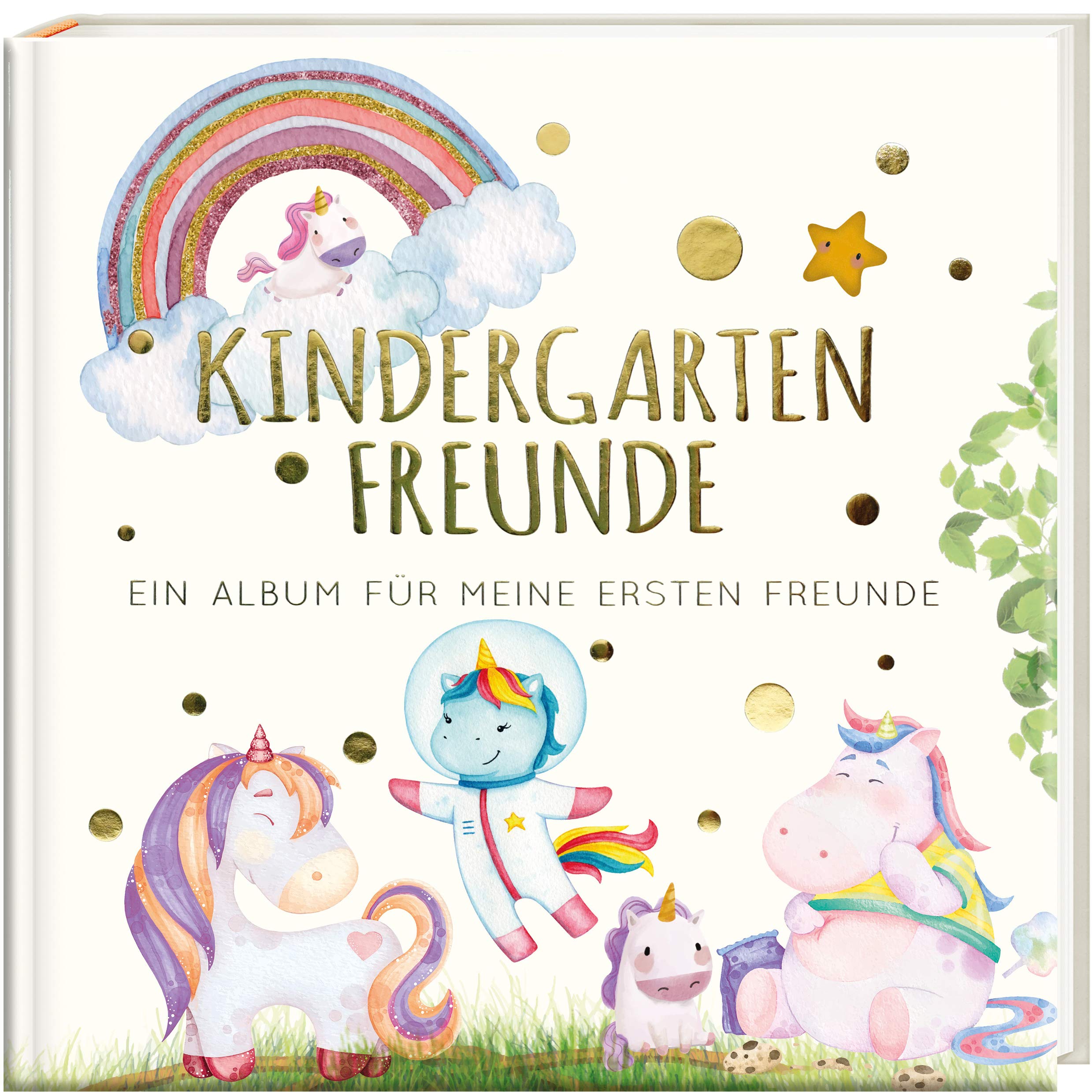 Kindergartenfreunde - EINHORN: ein Album für meine ersten Freunde (Freundebuch Kindergarten 3 Jahre) PAPERISH® (PAPERISH Geschenkbuch)